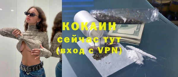 МДПВ Ельня