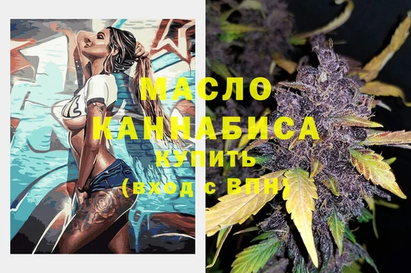 МДПВ Ельня