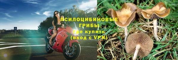 тгк Осинники