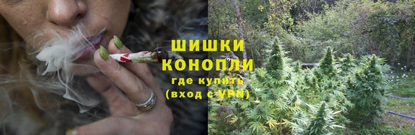 прущая мука Елабуга