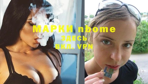 МДПВ Ельня